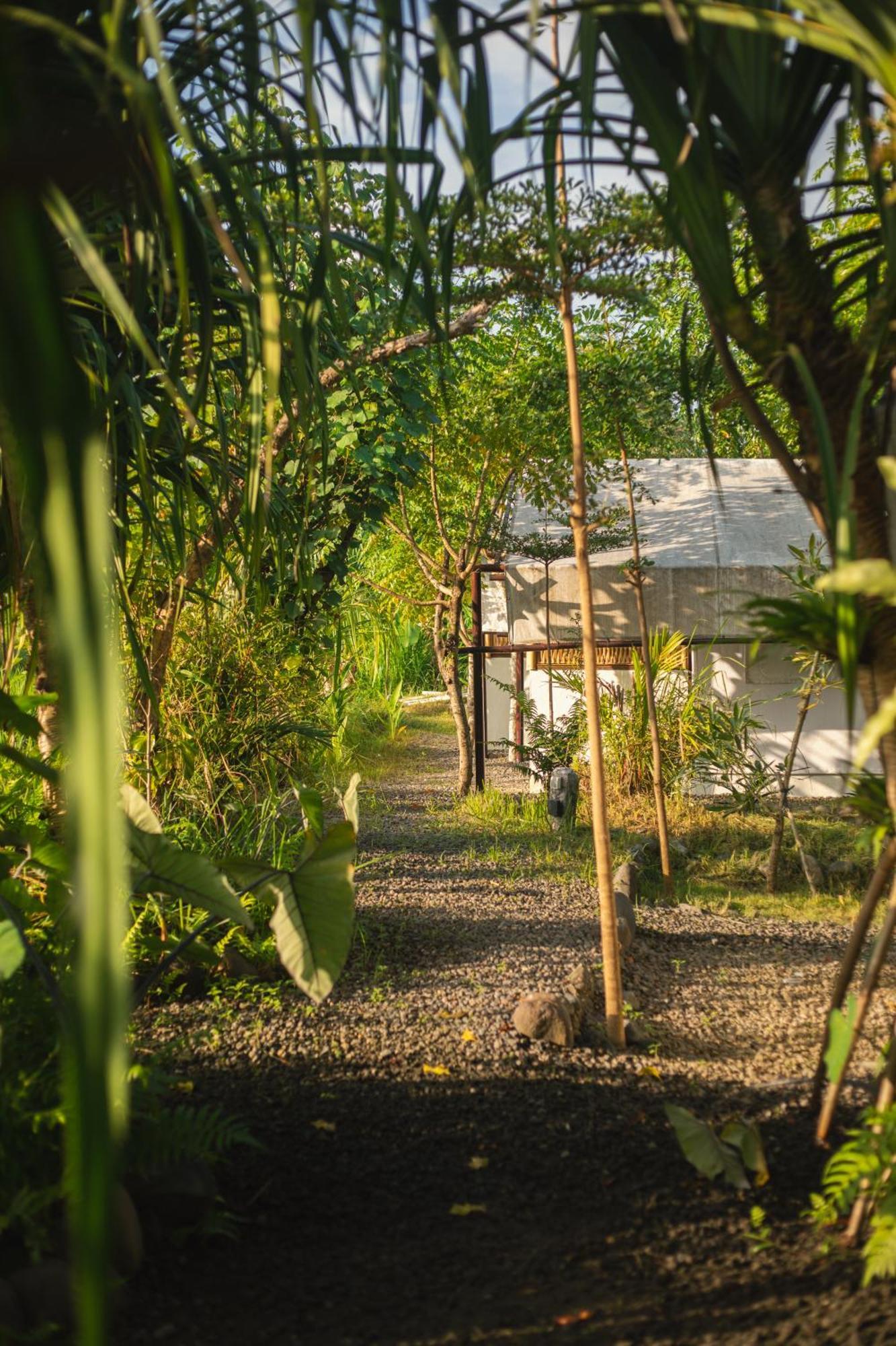 Camani Glamping Hotel Karangasem  Exterior photo
