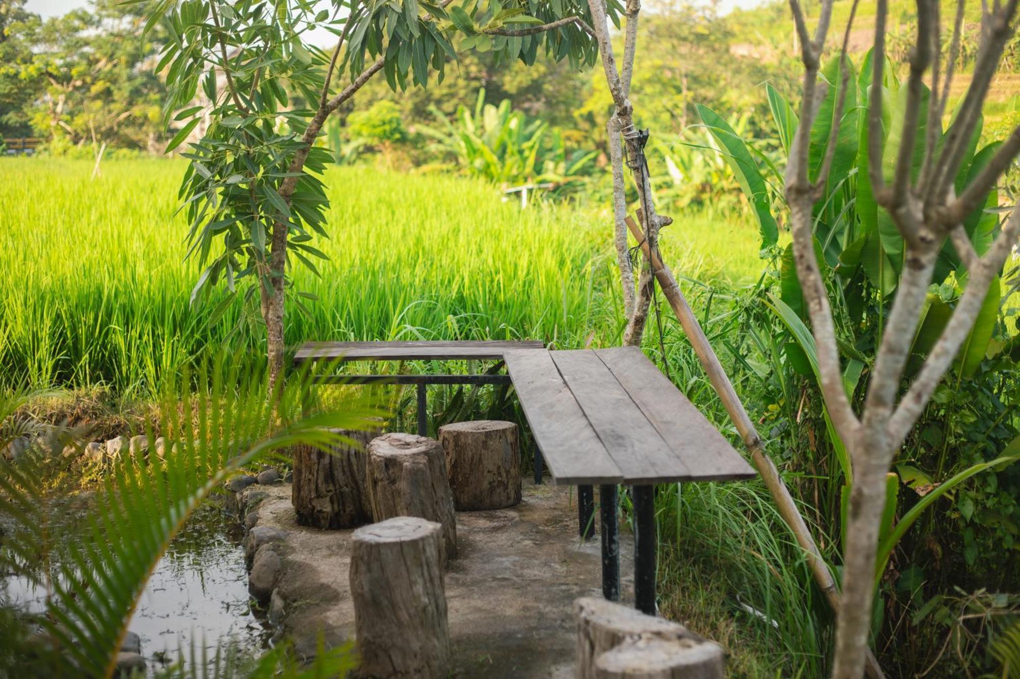 Camani Glamping Hotel Karangasem  Exterior photo