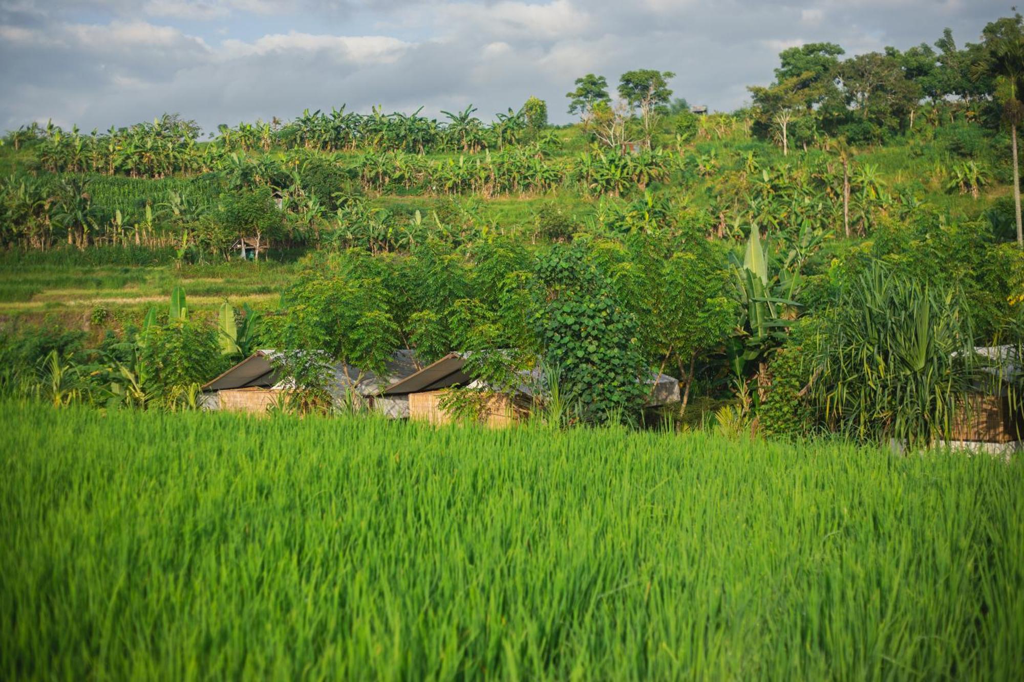 Camani Glamping Hotel Karangasem  Exterior photo