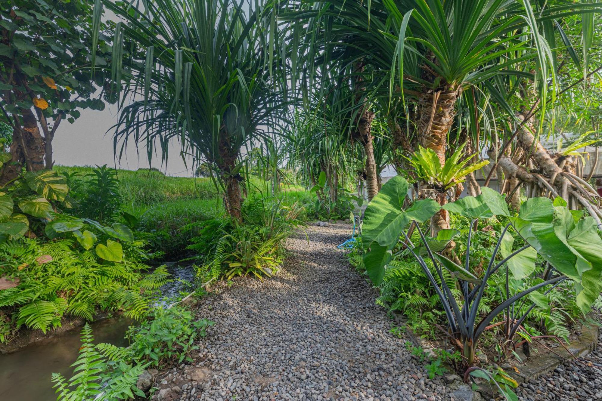 Camani Glamping Hotel Karangasem  Exterior photo